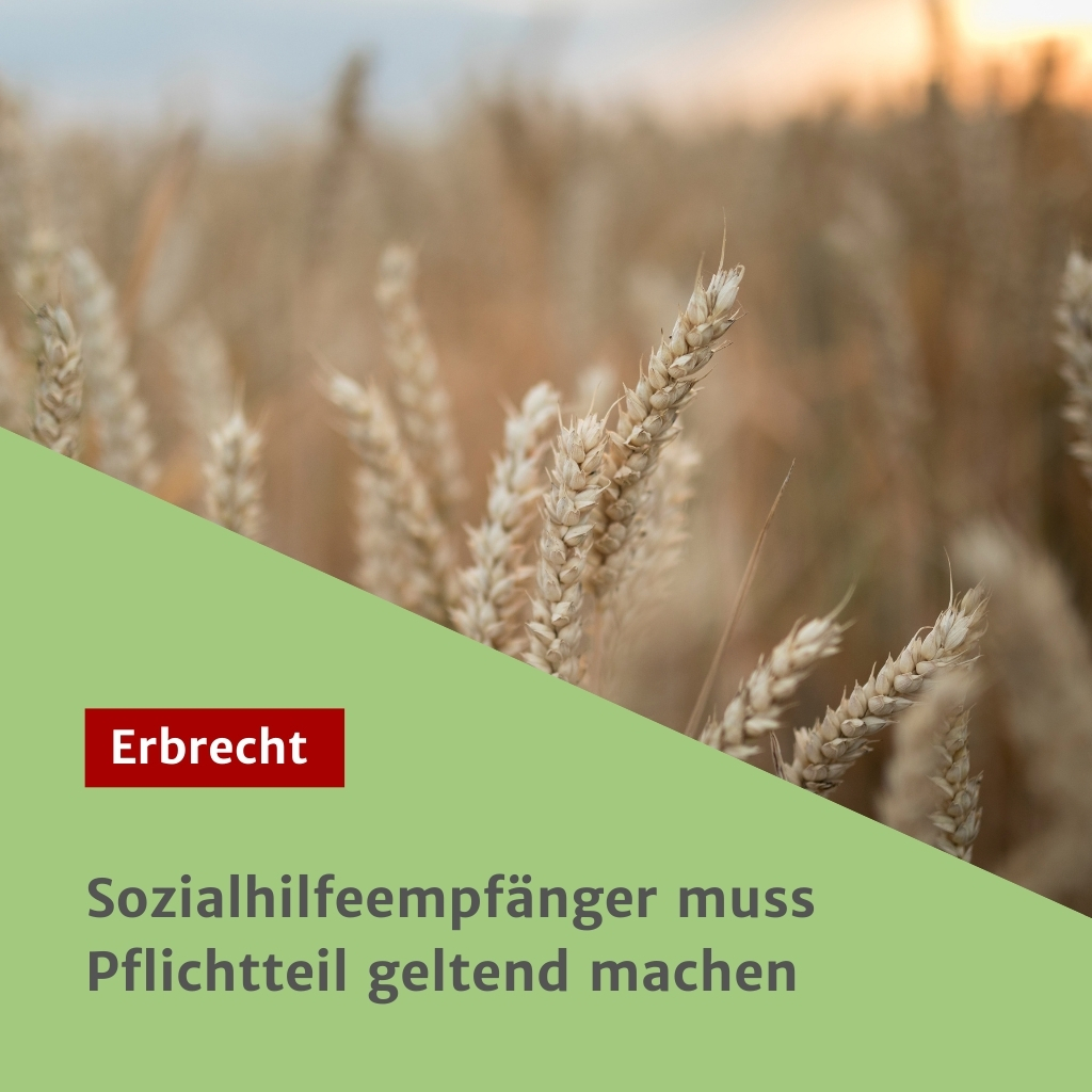 Sozialhilfeempfänger muss Pflichtteil geltend machen