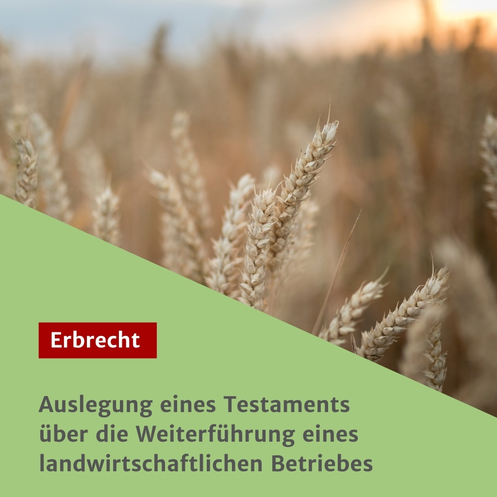 Auslegung eines Testaments über die Weiterführung eines landwirtschaftlichen Betriebes