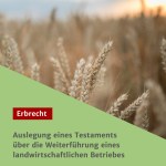 Auslegung eines Testaments über die Weiterführung eines landwirtschaftlichen Betriebes