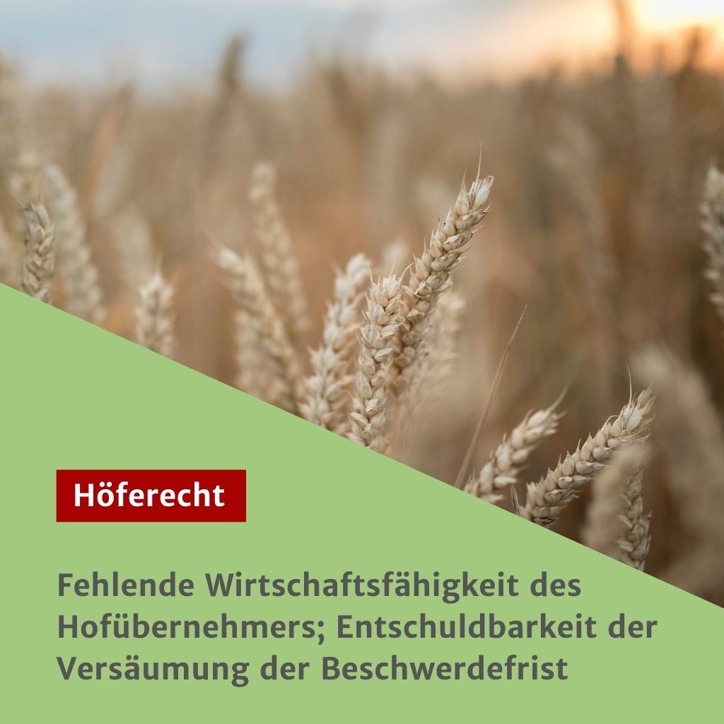 Fehlende Wirtschaftsfähigkeit des Hofübernehmers; Entschuldbarkeit der Versäumung der Beschwerdefrist