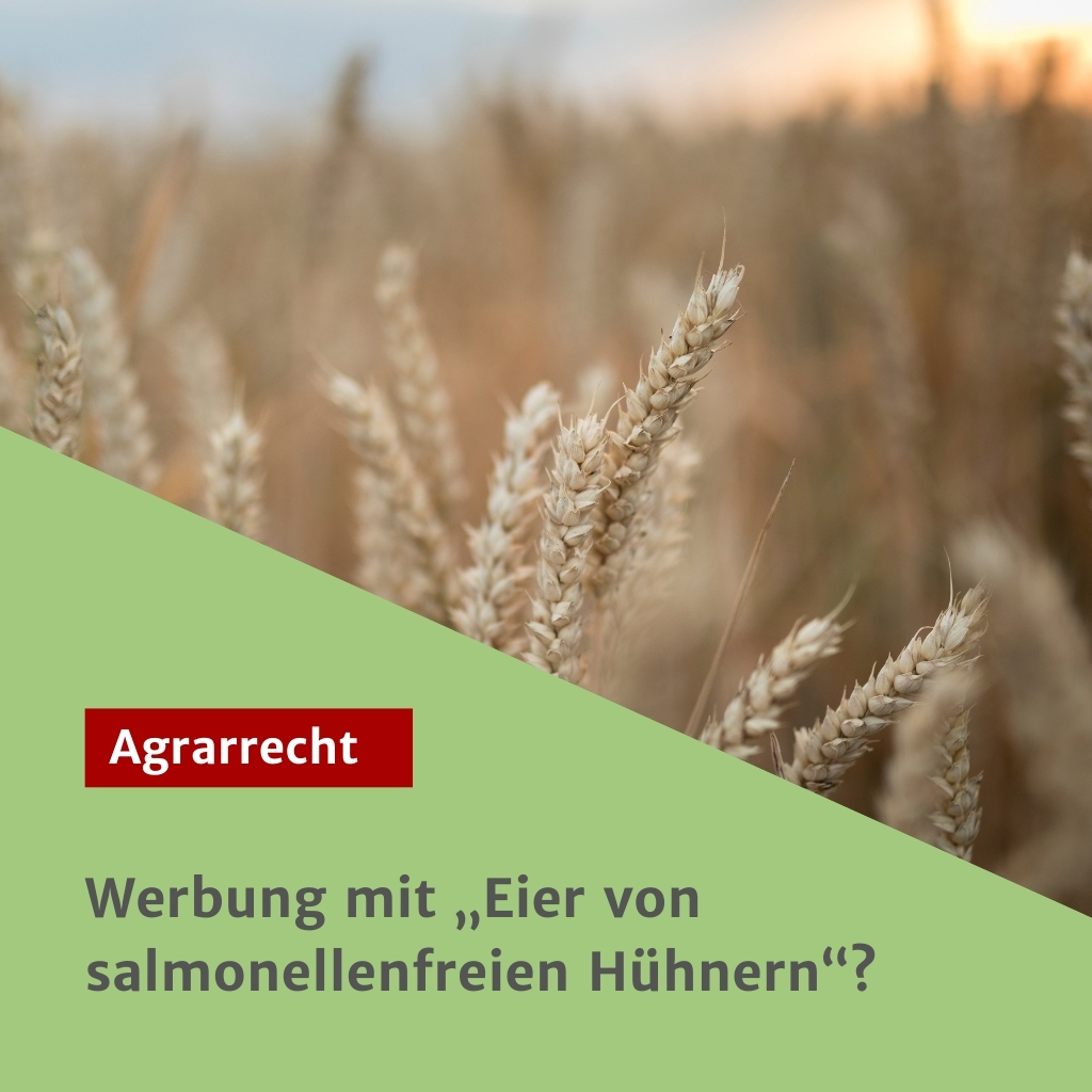 Werbung mit "Eier von salmonellenfreien Hühnern"