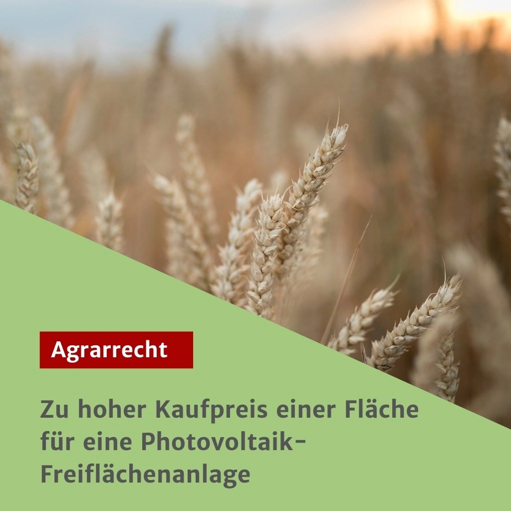 Zu hoher Kaufpreis einer Fläche für eine Photovoltaik-Freiflächenanlage: Keine Genehmigung nach dem Grundstückverkehrsgesetz