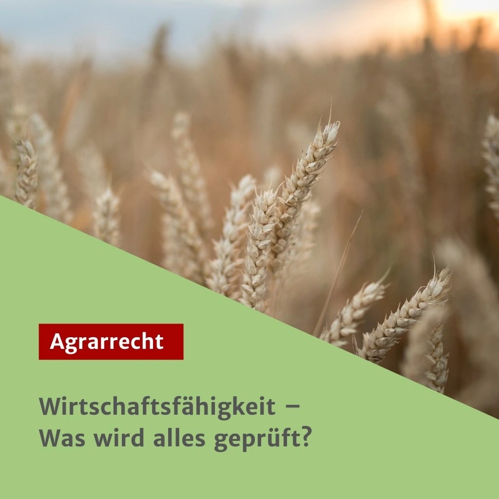 Wirtschaftsfähigkeit – Was wird alles geprüft?