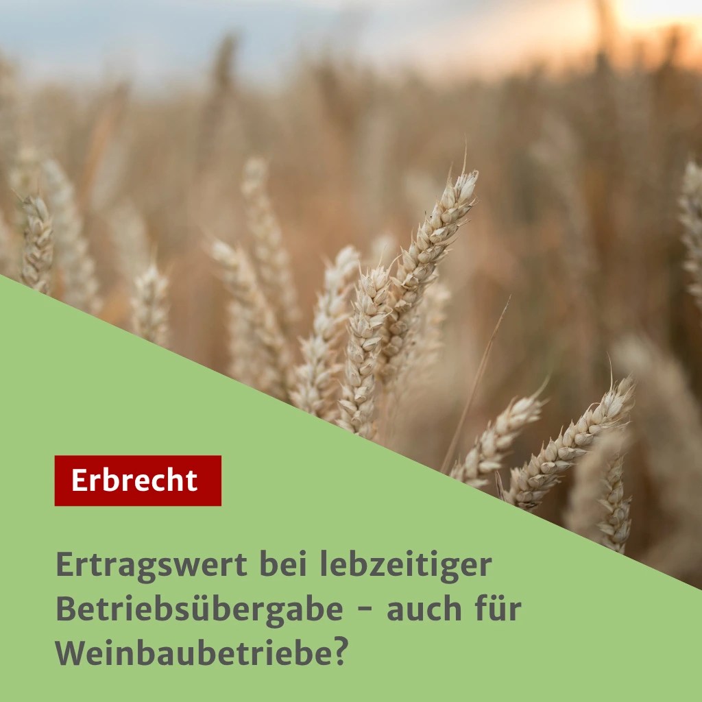 Ertragswert bei lebzeitiger Betriebsübergabe - auch für Weinbaubetriebe?